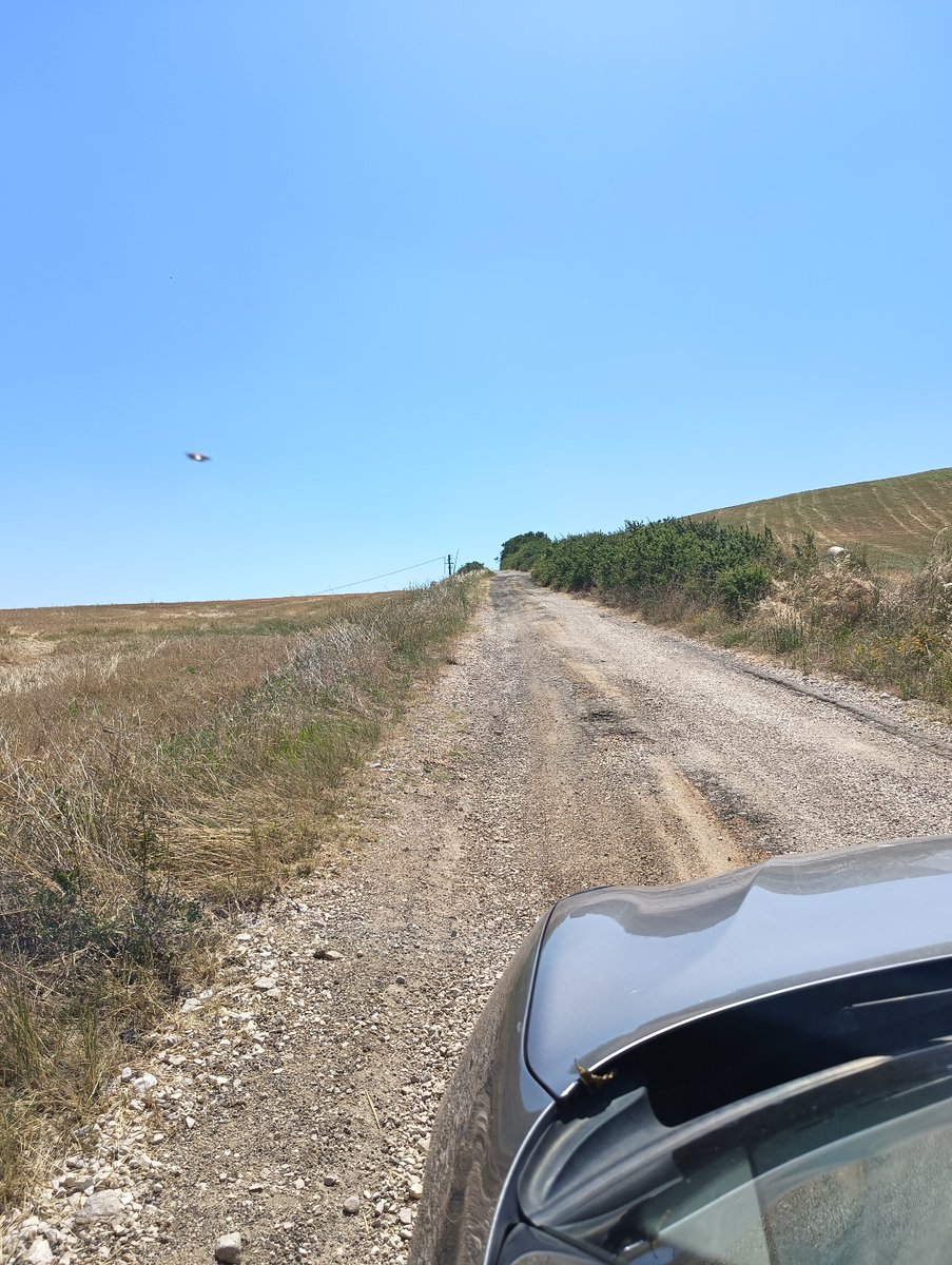 Donato1087's tweet photo. Ovni Puglia Italia 😱 https://t.co/q2kVZCqaDZ