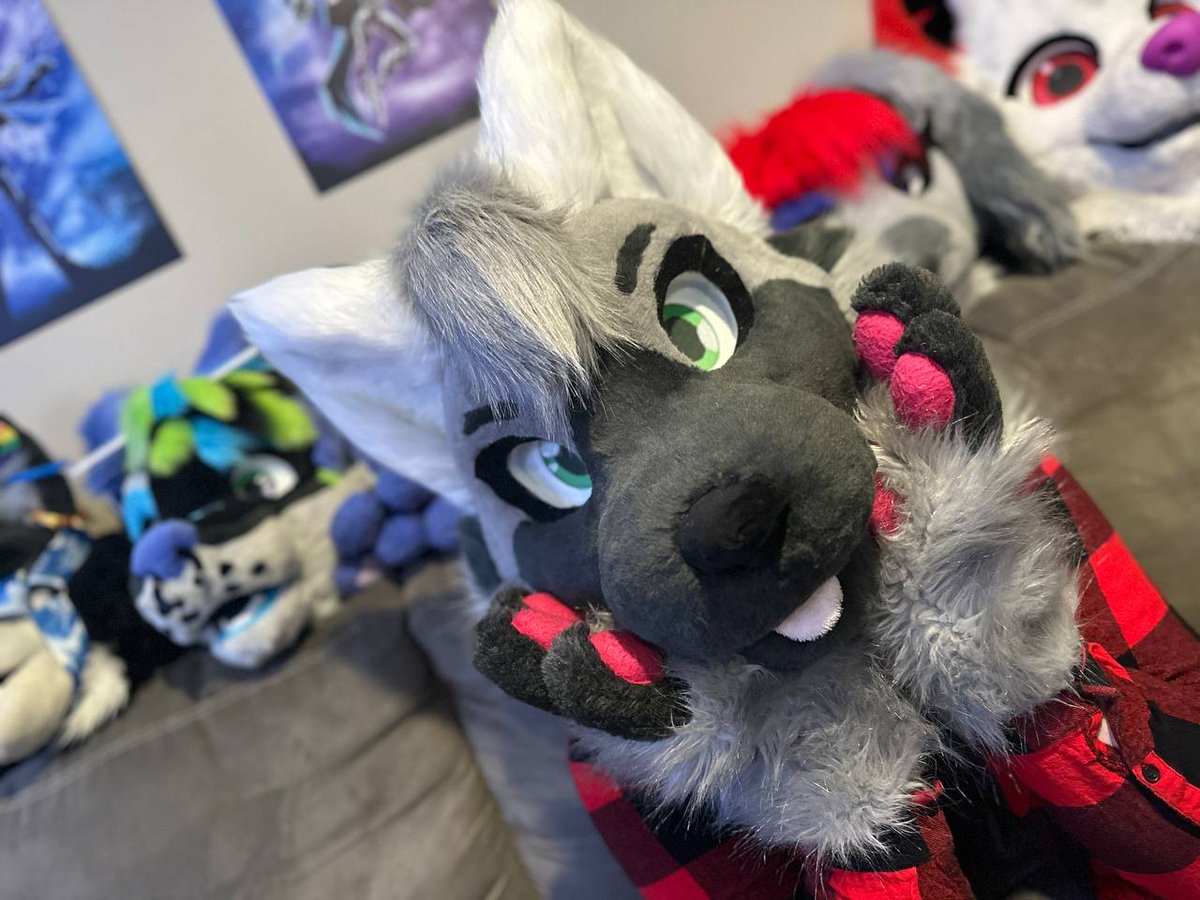 Axelthebigdog's tweet image. This dog is fashionably late to his first #FursuitFriday, but you can&apos;t stay mad at this face, right? 🐶