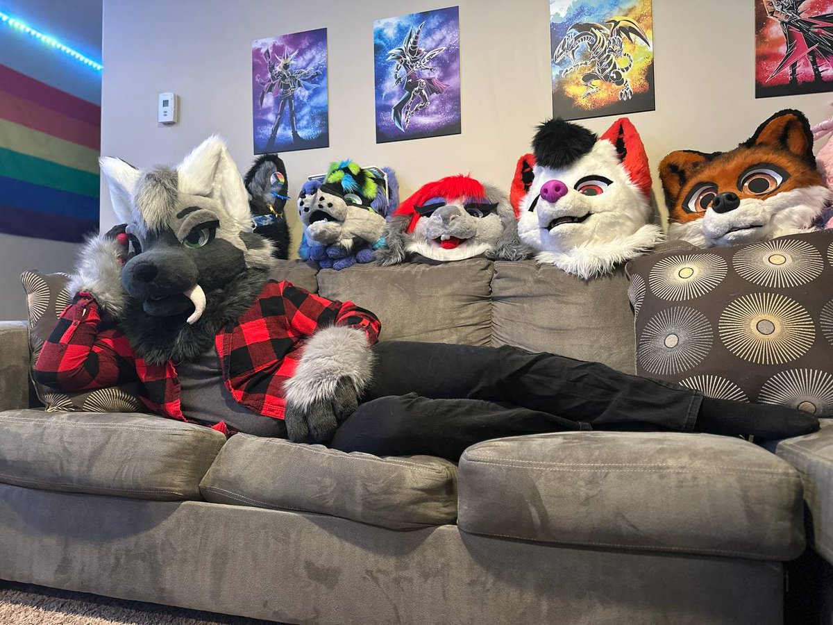 Axelthebigdog's tweet image. This dog is fashionably late to his first #FursuitFriday, but you can&apos;t stay mad at this face, right? 🐶