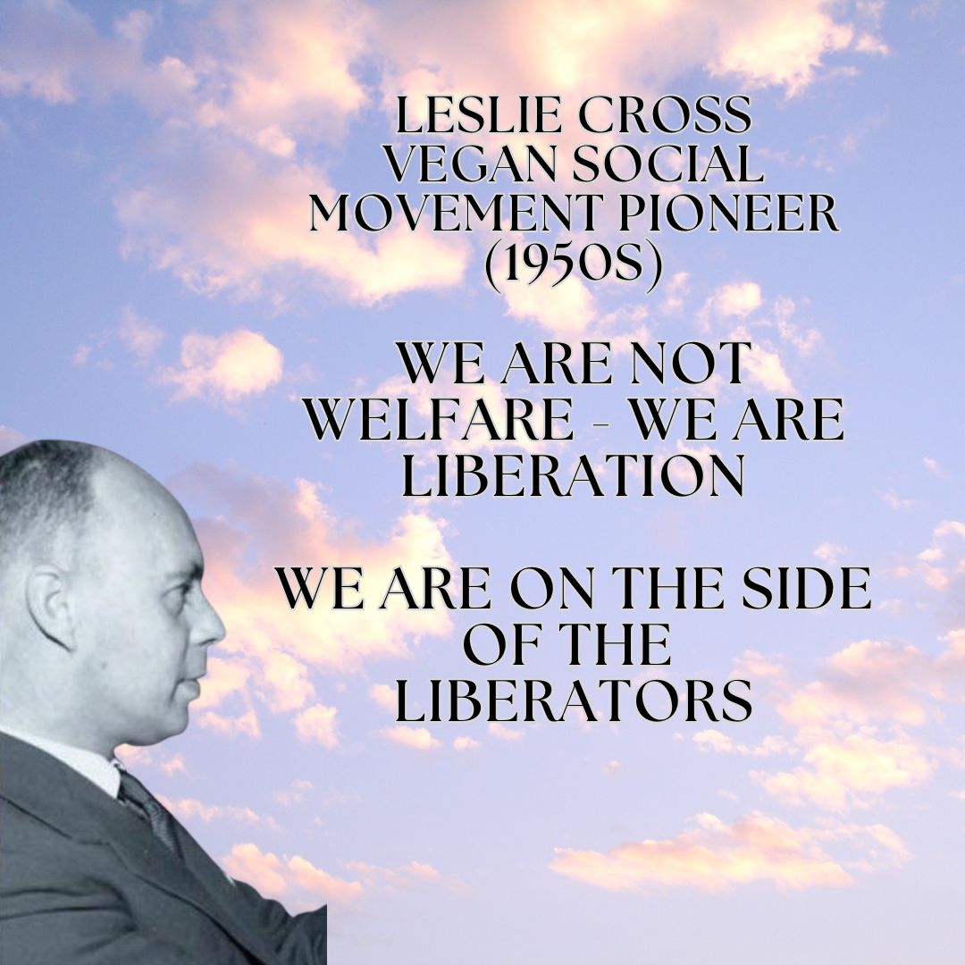 Vegan Information Pr (@veganprojectdub) on Twitter photo 