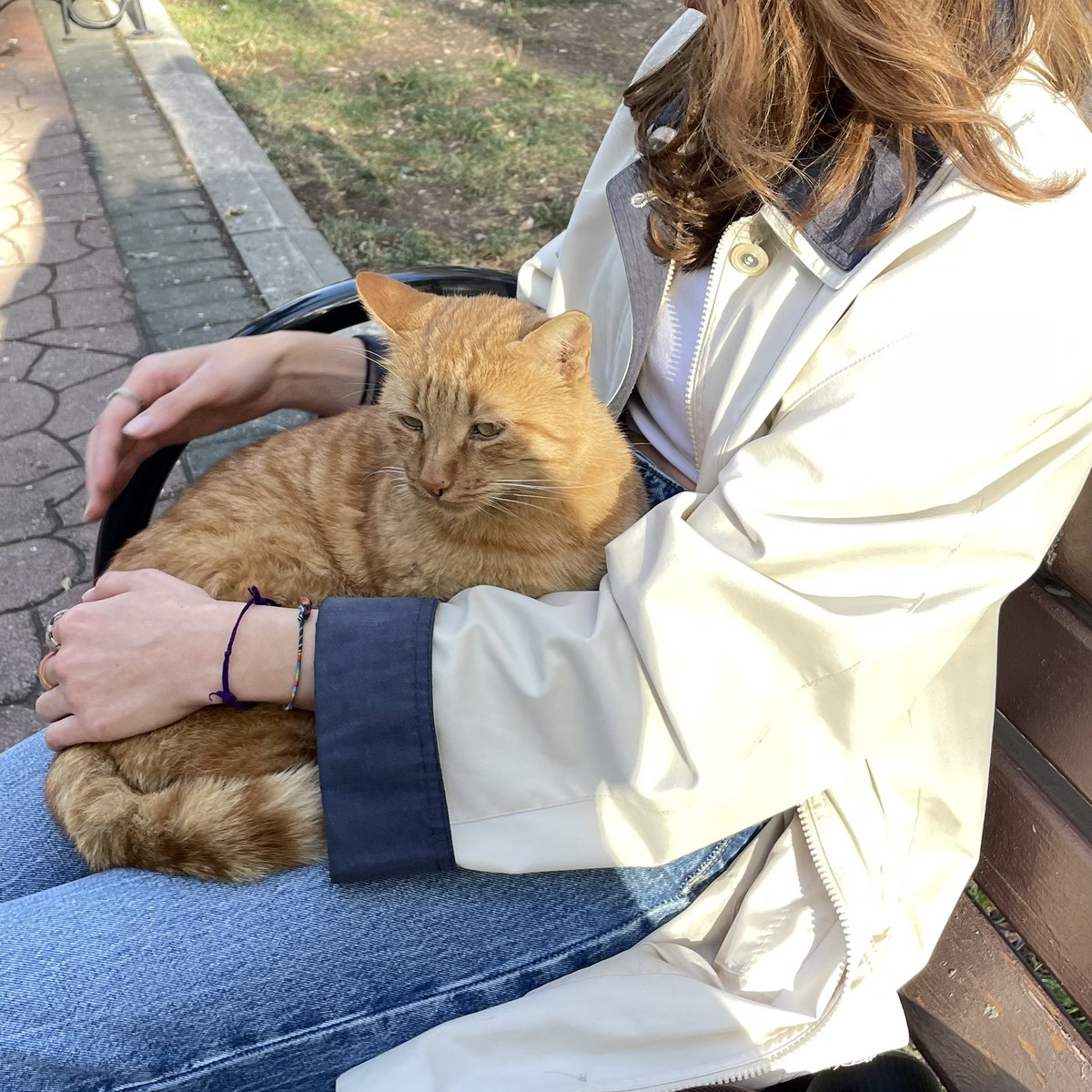 handisgo's tweet image. kedular ve ben. yani biz.