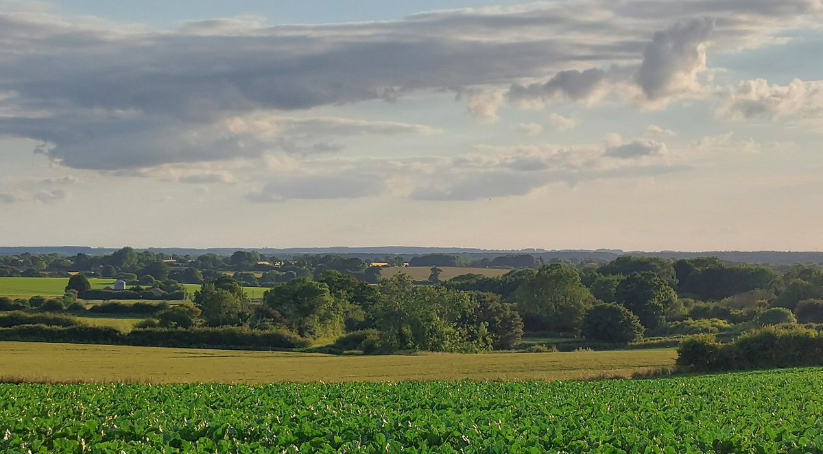The Bodham pre-Alps, North Norfolk. Only 99 crazy people have summited the Horn of Bodham without oxygen, including myself yesterday. Early adventurers employed shire horses to get to camp 2, but modern equipment has made for equine-free climbs. Crazy days.