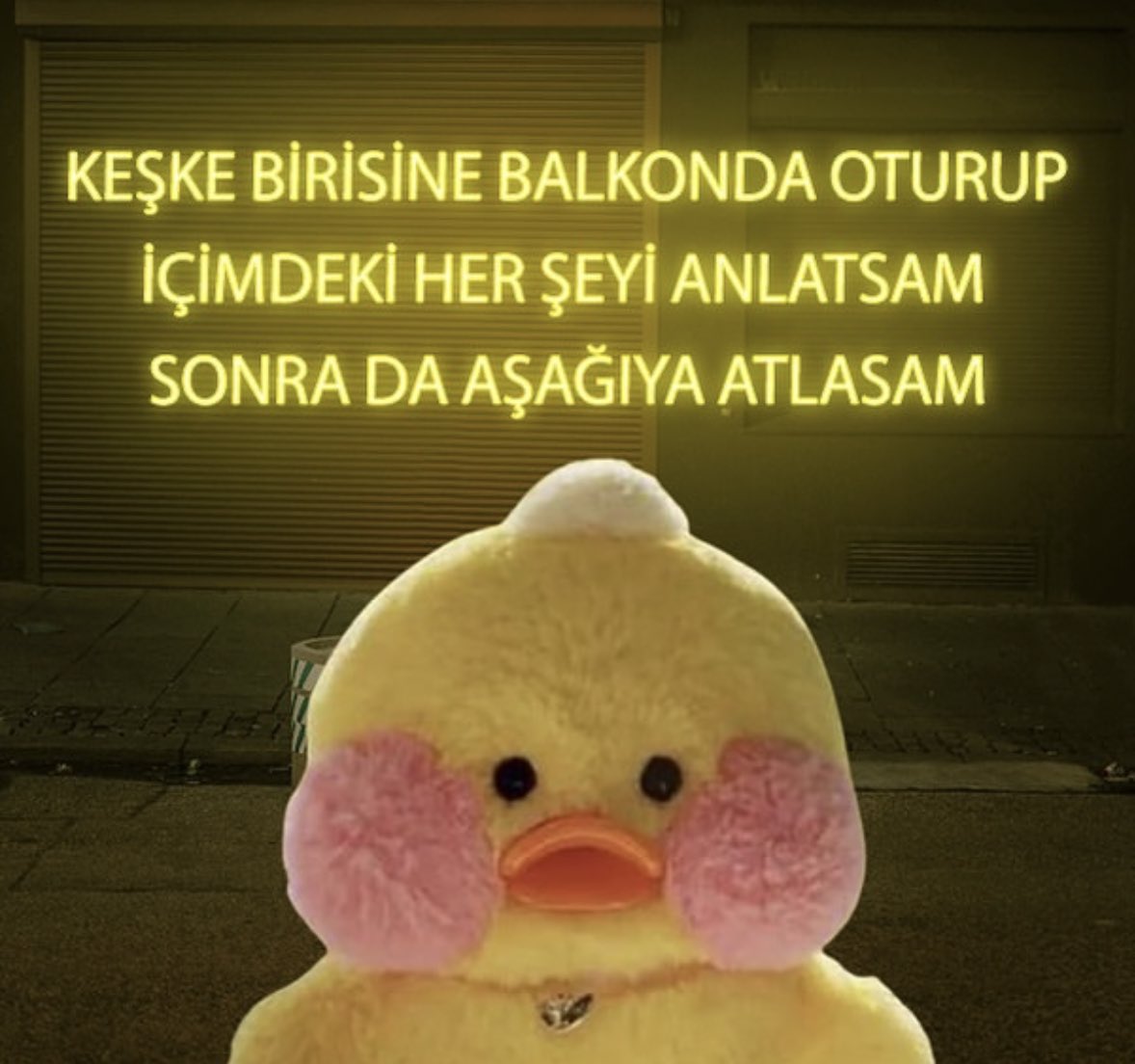 Buse🧚🏼‍♀️ (@busebullbul) on Twitter photo 