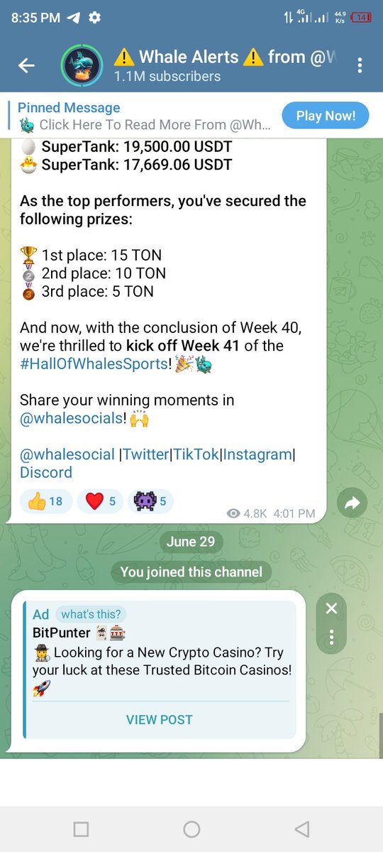 henrytech0's tweet image. I&apos;ve just joined the Whale Community on Telegram! Earn rewards from Whale and more Jambo partners at play.google.com/store/apps/det… @whalegames_en @JamboTechnology #sometimeslosealwayswin