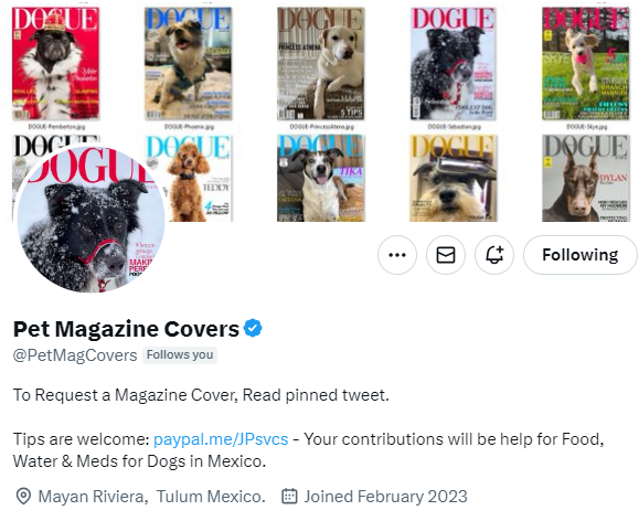 JPTheStrayDog's tweet photo. I won't be able to post the Magazine Cover of the week.
I am having hurricane-like weather with flooding, power failures and strong winds.
I do apologize for the inconvenience but I have to keep my butt safe instead of being on the computer...
Besides, I am flooding!
#StrayLife https://t.co/yPKZSMg2YI