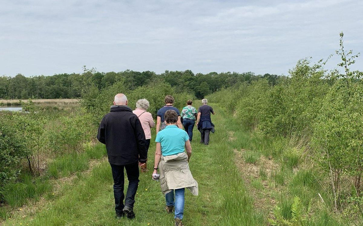 Leuke wandeling maken door de Peel 'while talking English'? Why Not? Zondag 30 juni is het weer <a href="/walk_english/">Walk English</a> in de Peel, start vanaf Hoeve Willem 3, Helenaveen. Tevoren aanmelden landvandepeel.nl/nl/de-regio/de…
