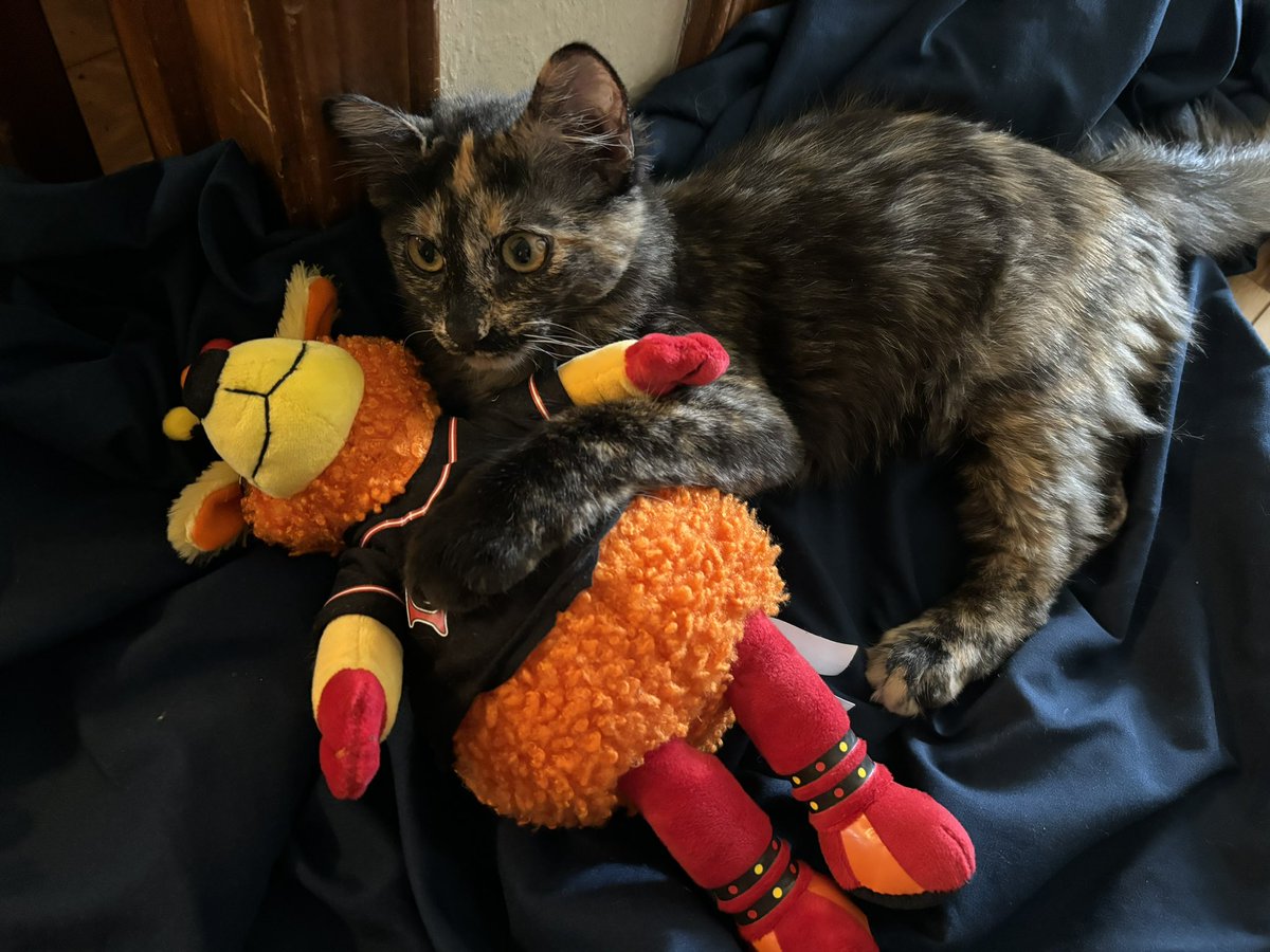 skippywiggly's tweet photo. In this house, we LOVE Orbit @ABQTopes https://t.co/9c1uhZWghI