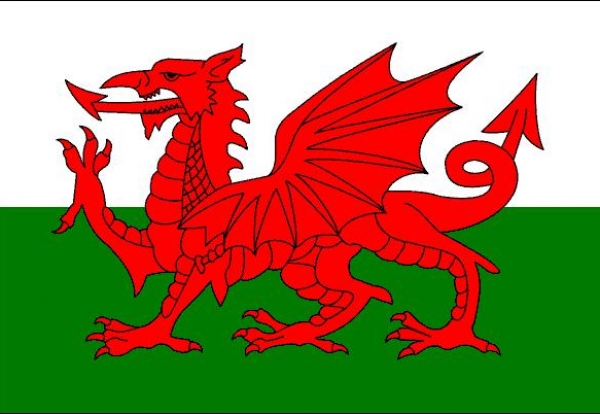 Race for £800m South West Wales framework dlvr.it/T8xdT5