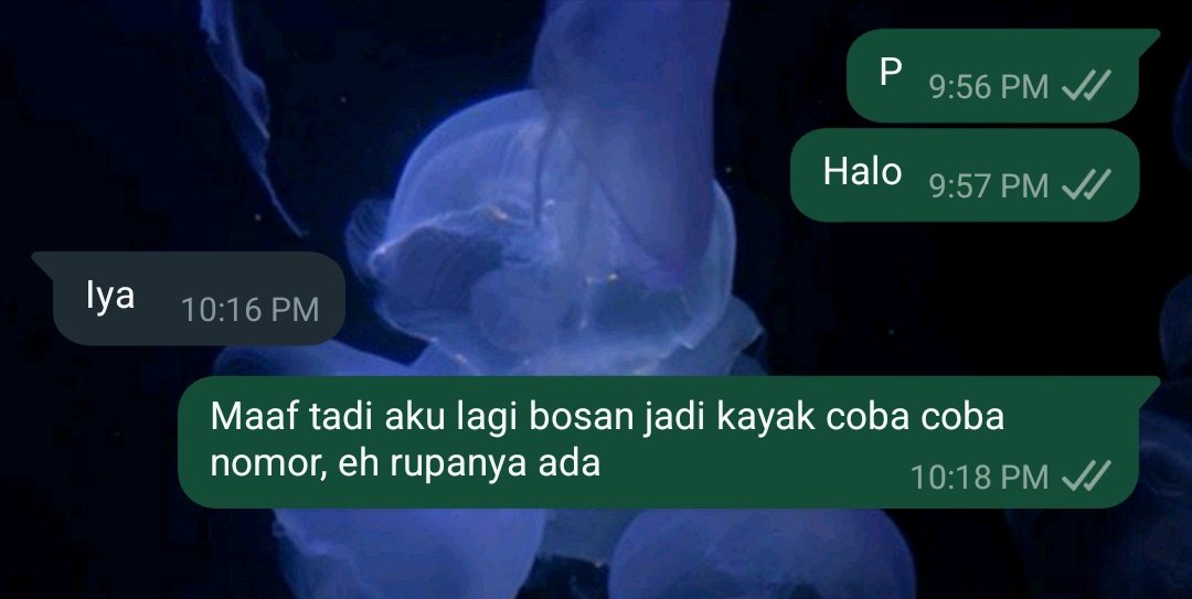 floriepriv_twt's tweet photo. Nah ini Last, oke ga mau lagi deh kayaknya buat ginian https://t.co/WNSUbH44Ob
