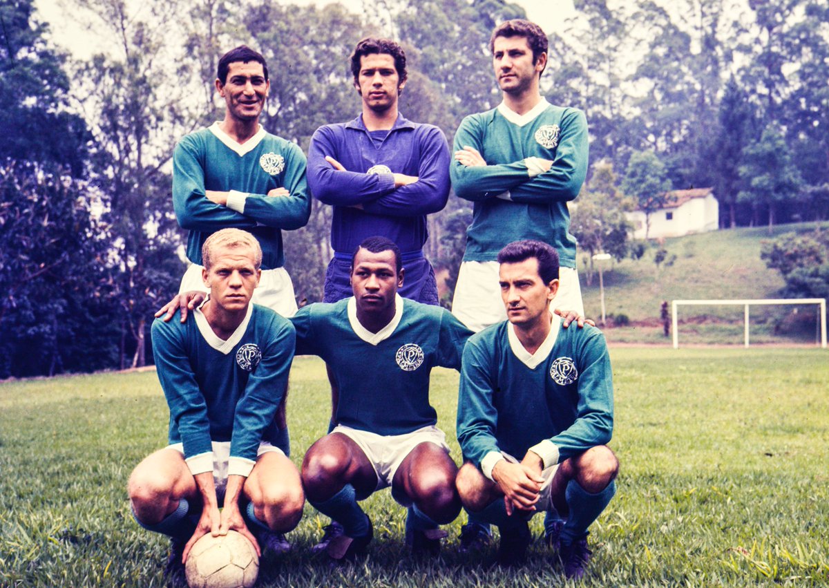 Bruno Ceccon tweet media