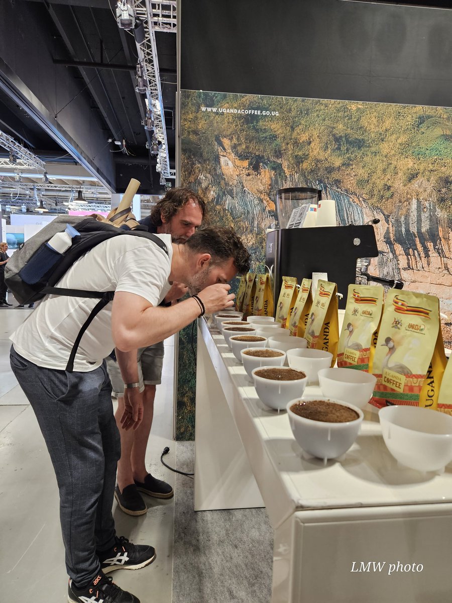 MAAIF_Coffee Production & Development Dept tweet media