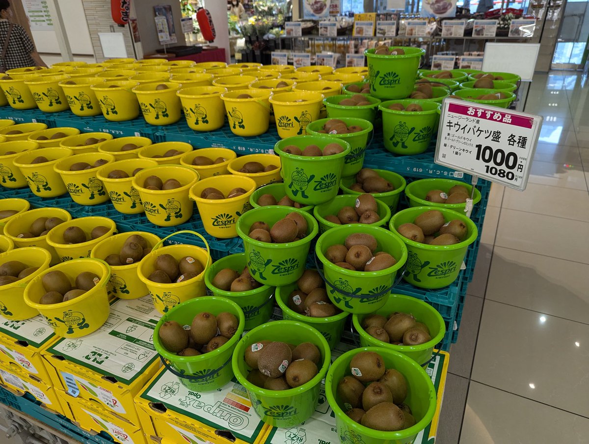 GLOCAL_official's tweet photo. Kiwi Festival at You-me Town Tokuyama!
Piles of Kiwis with rich nutrition, that's why people in Yamaguchi are so energetic that they could totally complete regime change 150 years ago.
#Yamaguchi
#GLOCAL
#anywayIloveKiwi
#Choshu
#madeinNewZealand https://t.co/JU1H3AYlQj