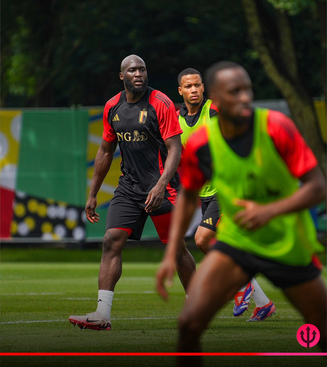 Work in progress 🇧🇪 $BELG