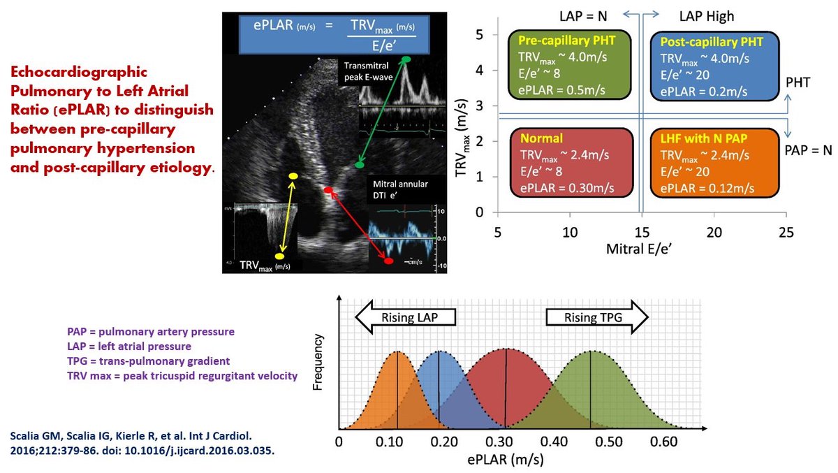 NephroPOCUS tweet media