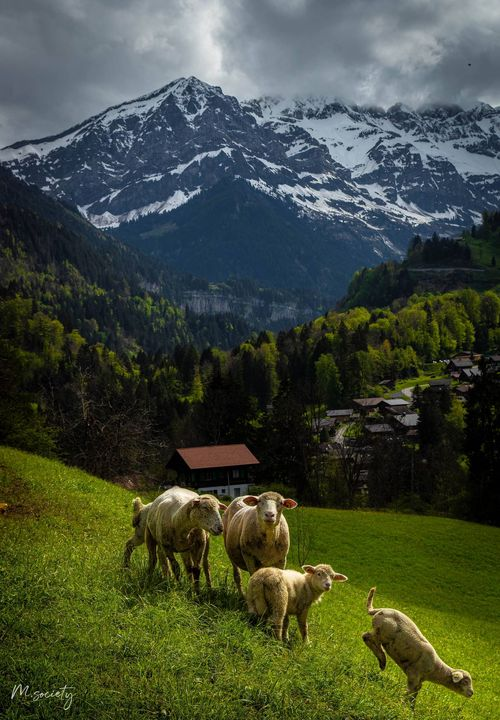 GORSKI_SWIAT's tweet photo. #mountain_world📷#exstra
Valais, Szwajcaria...
M.Society... https://t.co/vsmBkDIDYw