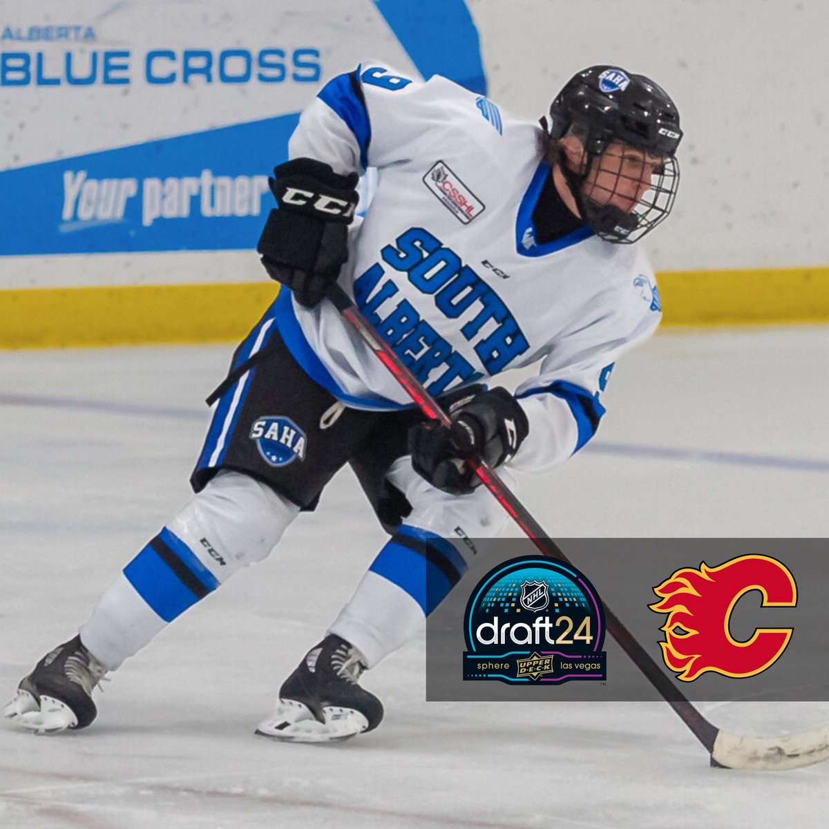 South Alberta Hockey Academy tweet media