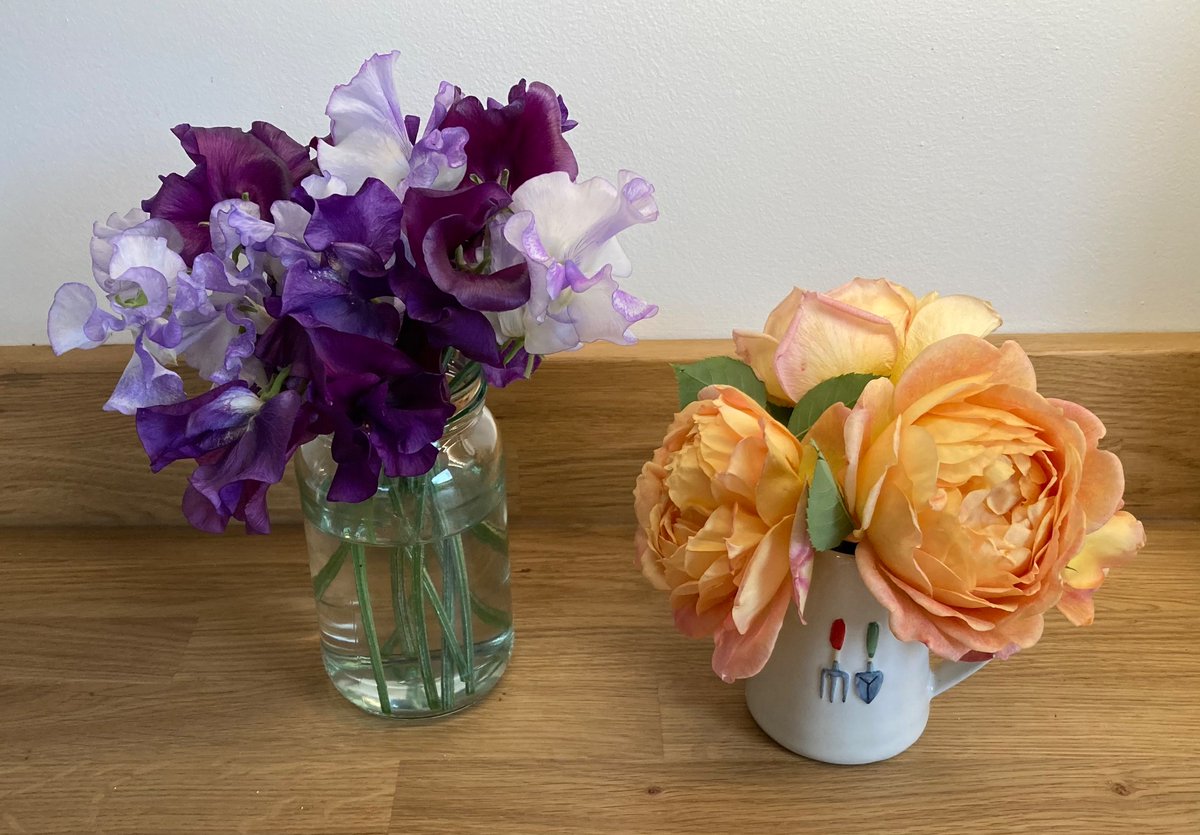 Gill Williams tweet media