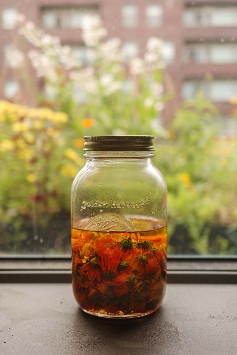 Dan Seljak tweet media