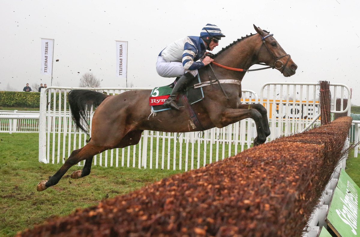 Name ONE horse that lives in your memory for no apparent reason 🐎