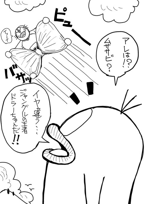 今日のムササビ‼️ 