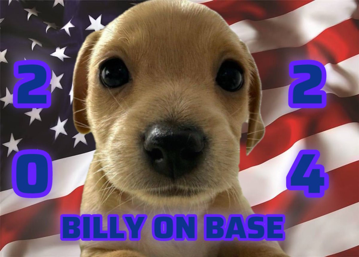 Jeetville's tweet photo. @lynk0x HOLD $BoB

@Billy_onBase is the move for the summer and beyond

SAVE ALL THE PUP WITH BILLY ON BASE 

A PUP WITH PURPOSE

0x145f85725D6eb79dE98C953e2B851e81745B5cD4 https://t.co/VYpCUo3uGe