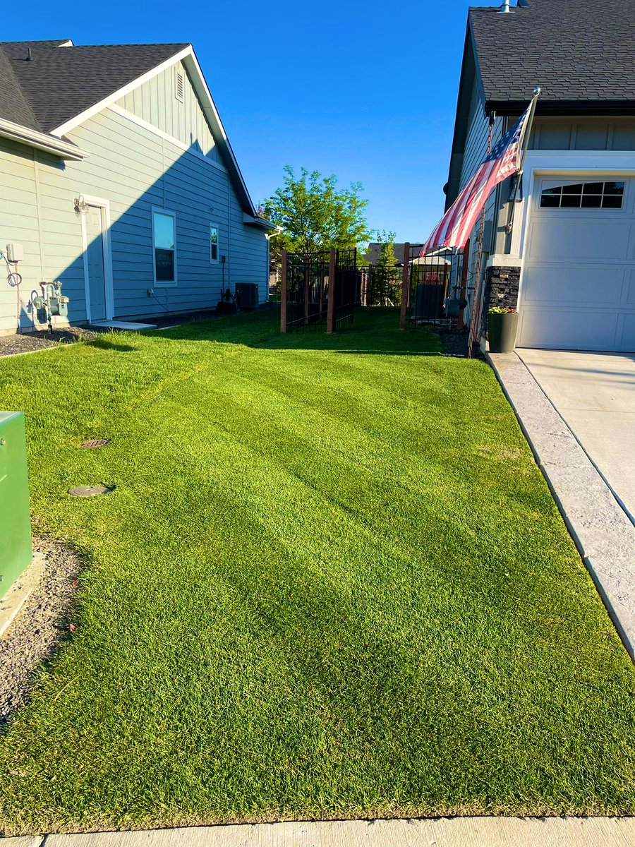 JSGoose11's tweet image. Great evening for some stripes! 🇺🇸(posted 10hr late…☹️) 

@OutKickTNML 
☀️: 81°
🌬️: 9 mph
Sponsor shoutouts:
👟: @HeyDudeShoes 
🎶: JahMan playlist (Spotify)
🌱 ✂️ : @trucutmowers /trimmer: @ECHO_USA 
🌱 🍲: @yardmastery 
🕶️: @smithoptics 
HOC: 3/4” (FY) 2” (BY)
#GodBlessUSA