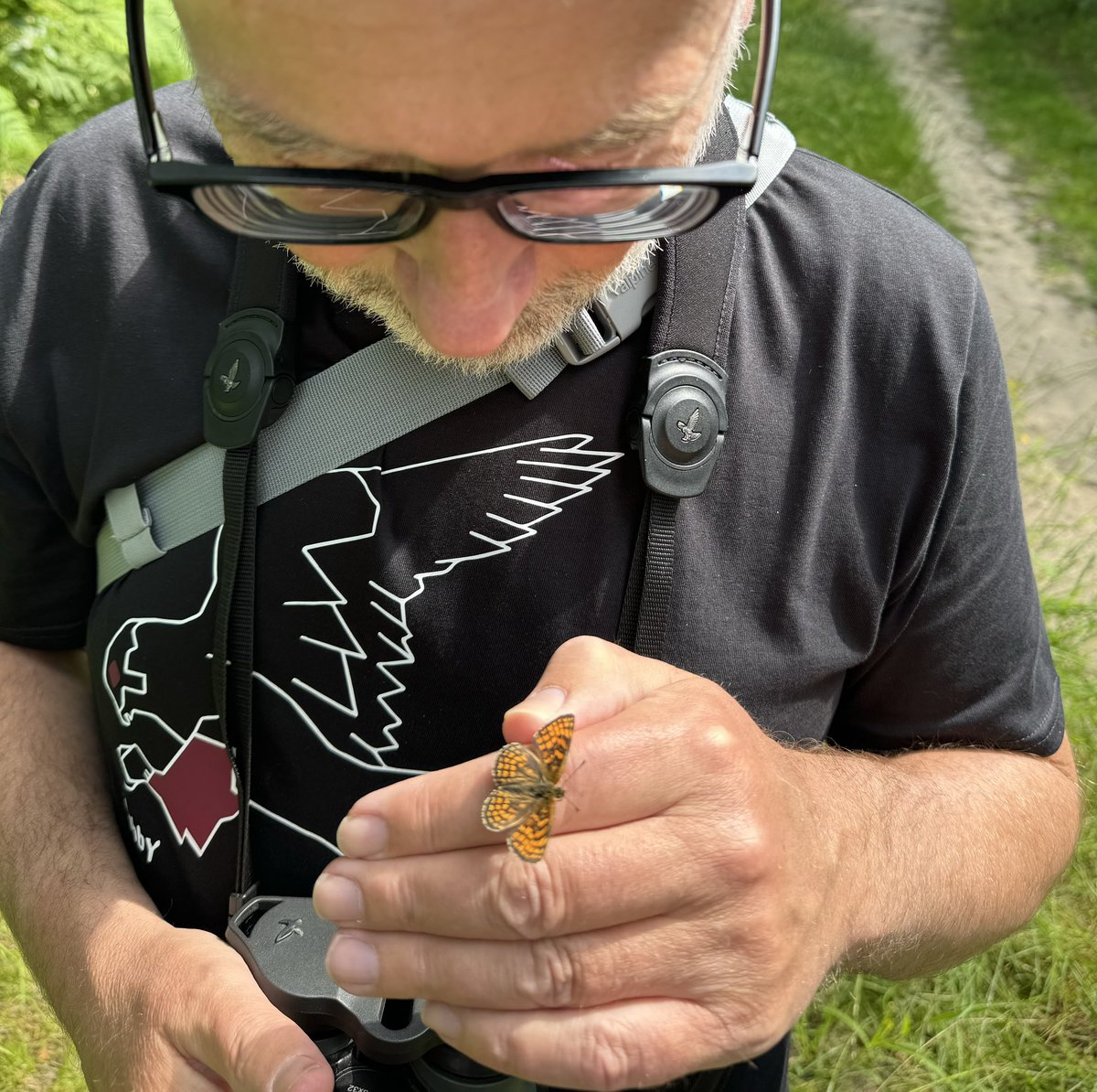 DanielCMartin1's tweet image. Just visited Blean Woods, Kent for Heath Fritillary; new one for me. What a place! Geat when such a rare species is the most common. One landed on me! Plenty of Cow Wheat there. Lots of other common species &amp;amp; good to see White Admiral. Pics on iPhone. Thanks @ColBowler #5togo