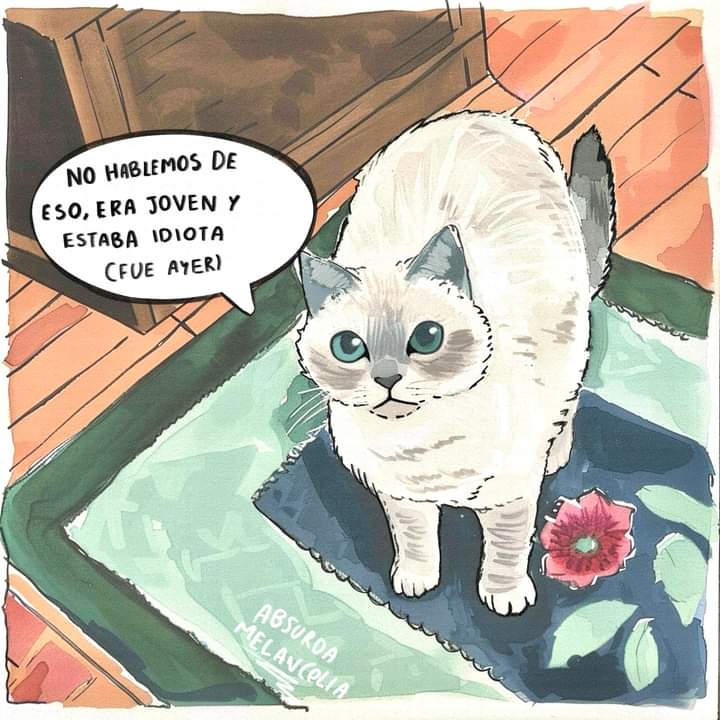 absurdamela's tweet photo. https://t.co/u42ioptnjy