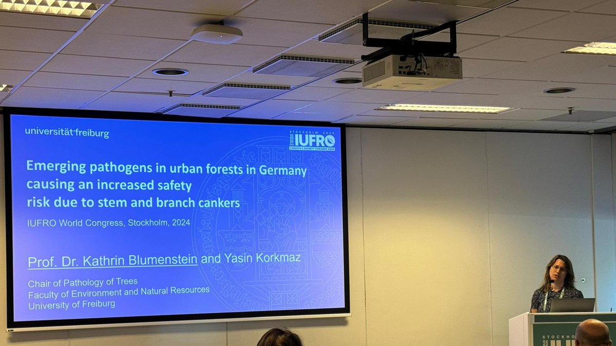 TreePathoMyco's tweet image. The #IUFRO2024 in Stockholm was amazing! 

Presenting our research, meeting new and old friends and colleagues, going on excursions, learning so much about forest challenges all over the world and getting INSPIRED for future reseach projects - an excellent experience!
#networking