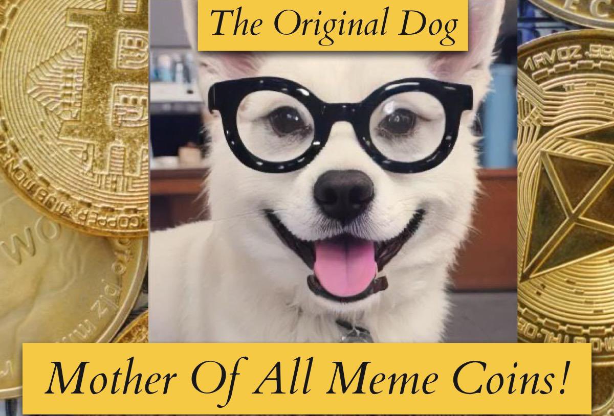 OriginalDog meme is created for all dog lovers. It has a huge potential to become more than 100x. Support this project to be a huge success and together, we will build a strong community
