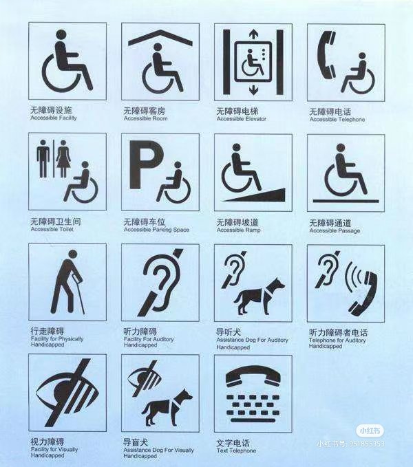 国际残疾人是指在不同国家和地区之间，因各种原因导致身体或精神残疾的人士。这些原因可能包括疾病、意外、战争、先天缺陷等。国际残疾人需要得到社会的关注和支持，以便他们能够平等地参与社会生活，享有与其他人相同的权利和机会。