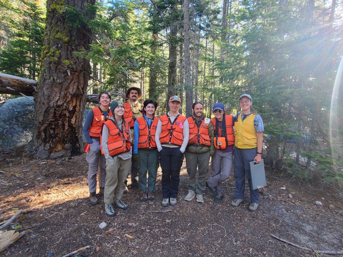 Melissa DeSiervo (@mdesiervo1031) on Twitter photo An amazing week in the Klamath mountains, resampling plots with @HumboldtBiolSci crew. 100+ leaf samples collected for <a href="/Union_Biology/">Union College Biology Department</a> thesis project. Now back to <a href="/UnionCollege/">Union College</a> for stable isotope analysis to learn about plant stress across elevation and water gradients. #LetsGo An amazing week in the Klamath mountains, resampling plots with @HumboldtBiolSci crew. 100+ leaf samples collected for <a href="/Union_Biology/">Union College Biology Department</a> thesis project. Now back to <a href="/UnionCollege/">Union College</a> for stable isotope analysis to learn about plant stress across elevation and water gradients. #LetsGo
