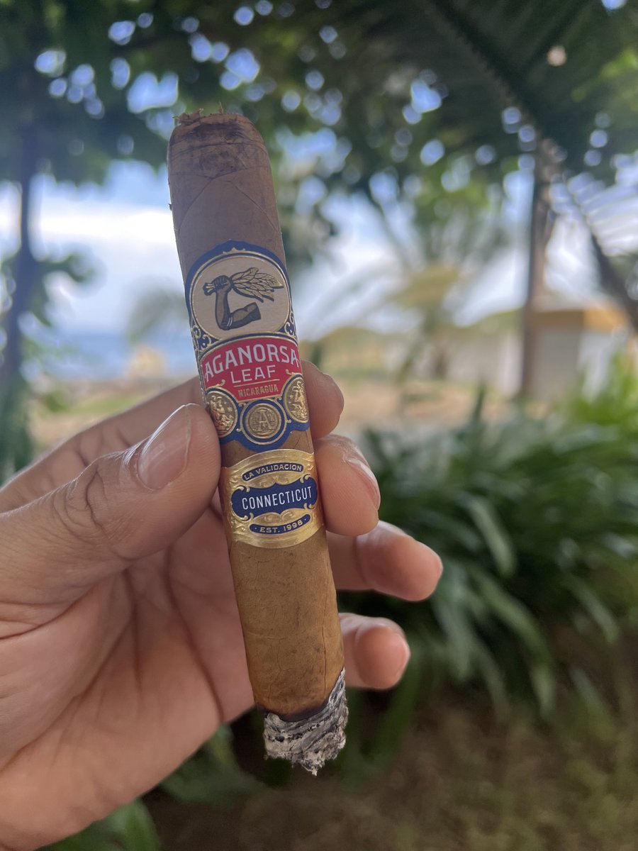 Excelente sabor .Aganorsa Leaf Nicaragua