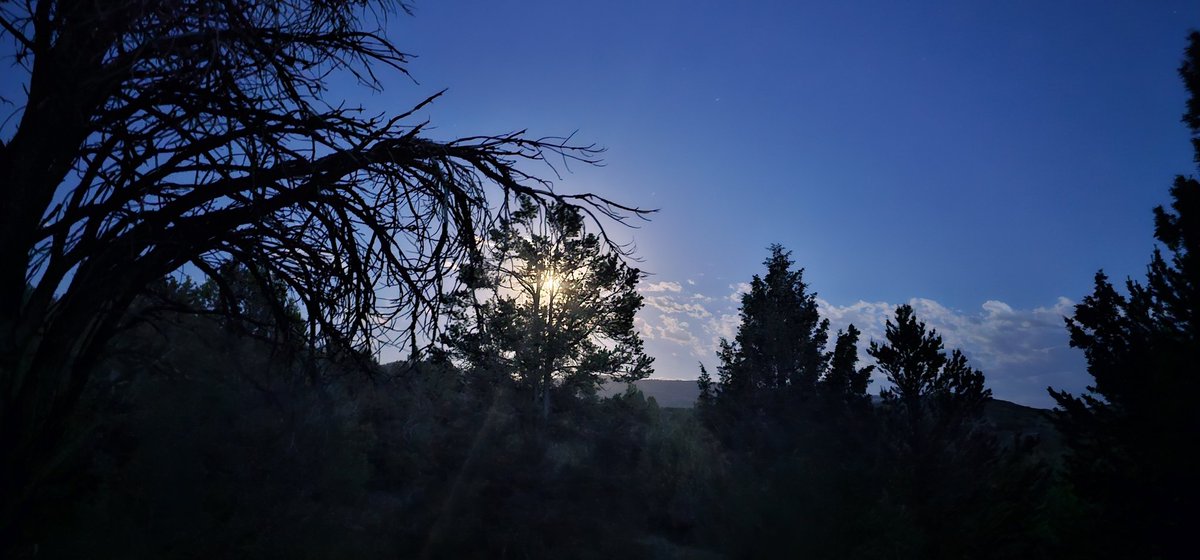 Shepseekstruth's tweet image. My homestead has some very cool entertainment at night! 🏡🌌 #homesteadlife #nighttimefun