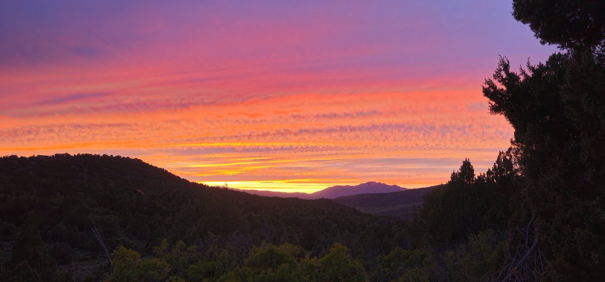 Shepseekstruth's tweet image. My homestead has some very cool entertainment at night! 🏡🌌 #homesteadlife #nighttimefun