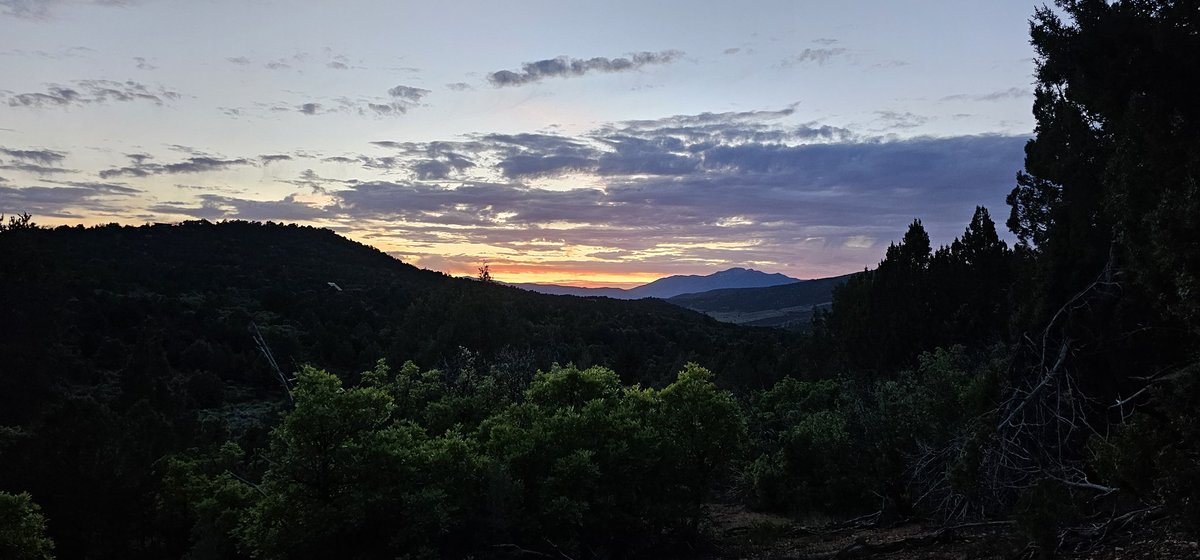 Shepseekstruth's tweet image. My homestead has some very cool entertainment at night! 🏡🌌 #homesteadlife #nighttimefun