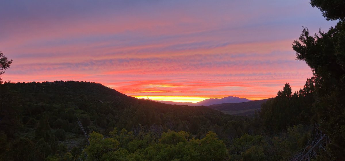 Shepseekstruth's tweet image. My homestead has some very cool entertainment at night! 🏡🌌 #homesteadlife #nighttimefun