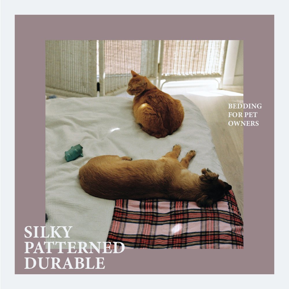 BobbieHousand's tweet image. Do you let your pets sleep in bed with you? With a duvet cover made out of a silky material, you can keep your bedding looking fresh and protect it from pet hair buildup. The more you know!
#GoodtoKnow #GoodtoAsk