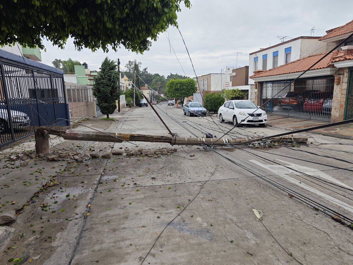 Jardines Alcalde AC tweet media