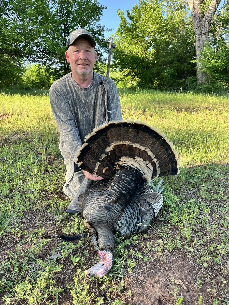 coastalwings's tweet photo. More turkey photos…… https://t.co/68GGj8ZCzW