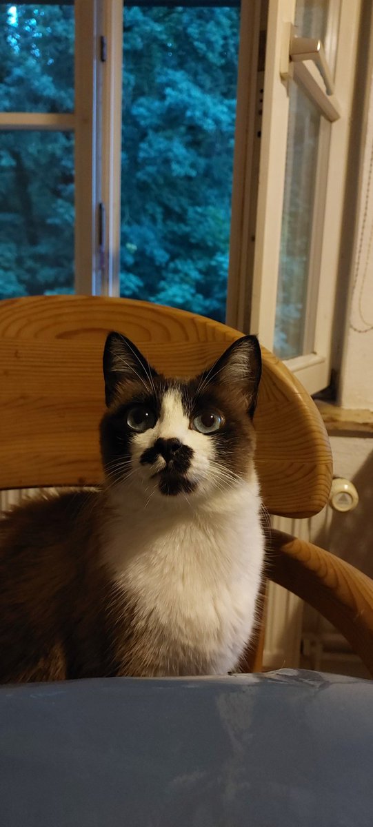 Douglas Silva tweet media