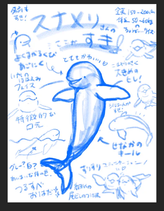 スナメリ愛をひたすら描いていたらこんな時間になりました。
ちょっとずつ清書します。 