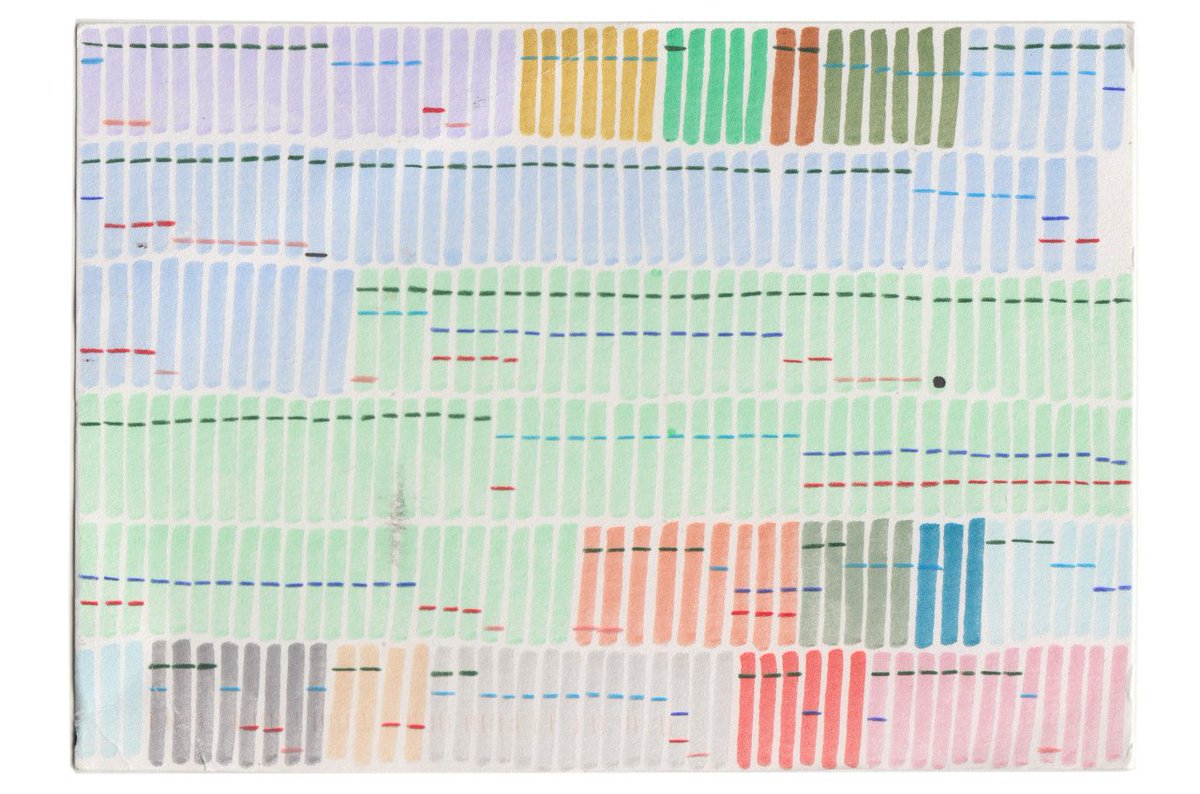 conrad house tweet media