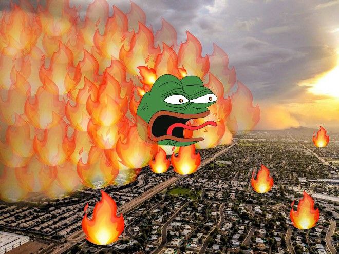 Pepe On Fire tweet media