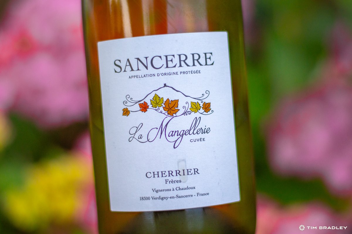 timothydbradley's tweet photo. Long growing-season day lengths (compared to Marlborough, New Zealand) combined with low light intensity and low heat makes for restrained flavours in Sancerre wines. Aromas of grass, bell pepper and asparagus with gooseberry, grapefruit and wet stone flavours. https://t.co/6e9cOs66xh