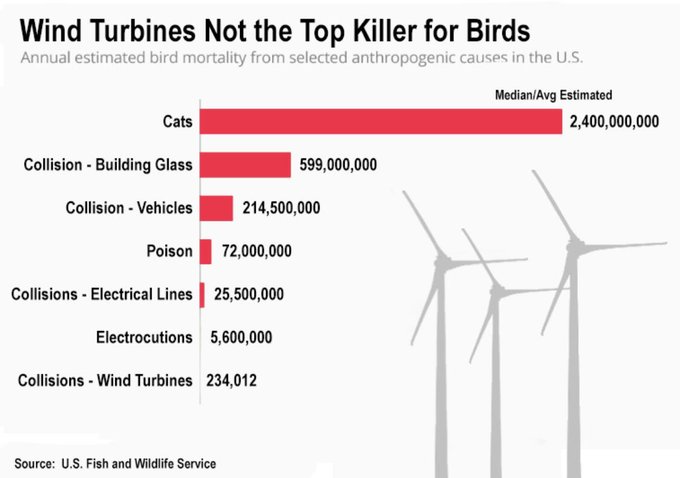 Dr Paul Dorfman (@dorfman_p) on Twitter photo 