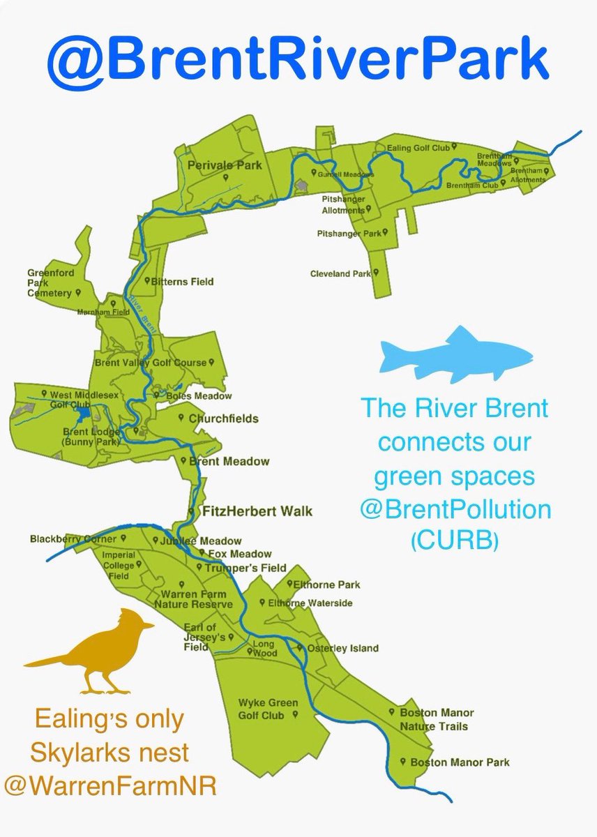HAPPY BIRTHDAY #BrentRiverPark🥳 49 years ago our founder Luke FitzHerbert worked with <a href="/EalingCouncil/">Ealing Council</a> to bring his vision of our beautiful park to life💚Cherished by our community💙Home to urban wildlife🦉29th June 2025 will be our big 50th celebration! Pls explore our NEW MAP!🚶🏽‍♀️