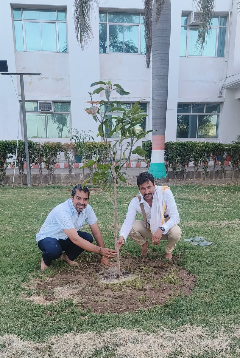 Tree Man Devender Sura tweet media