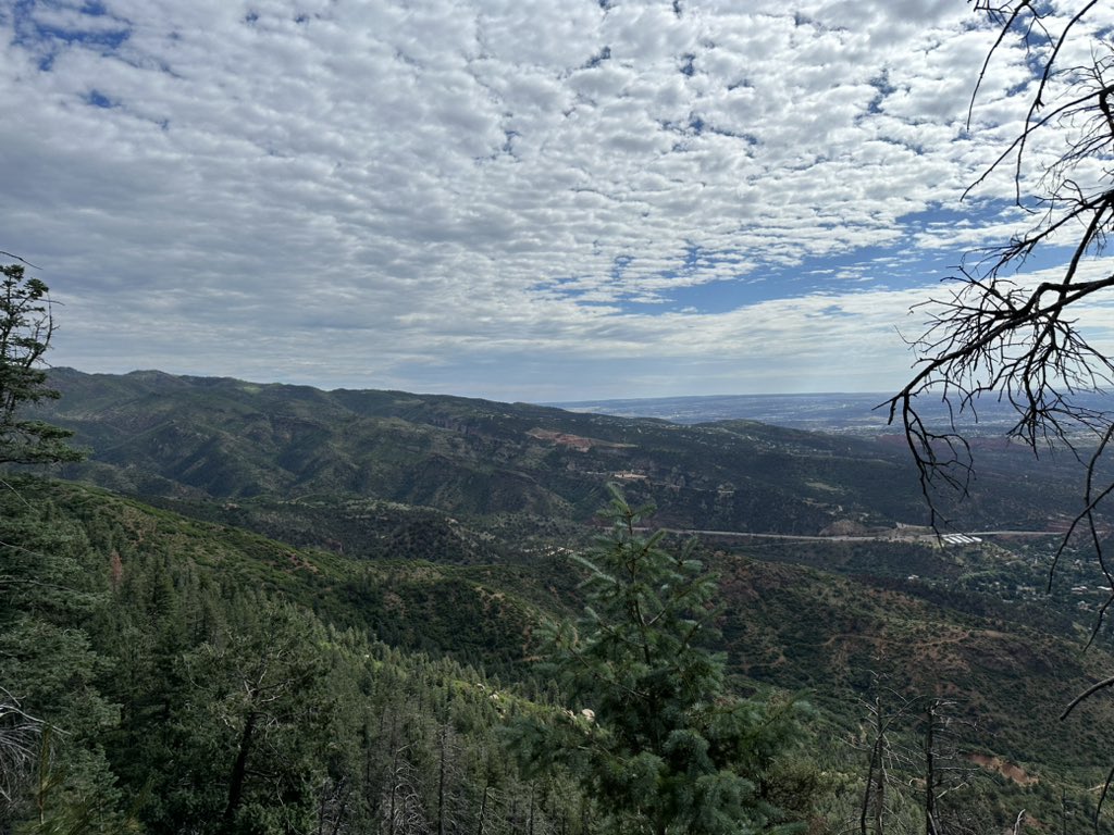 Jaden.Stoll tweet media