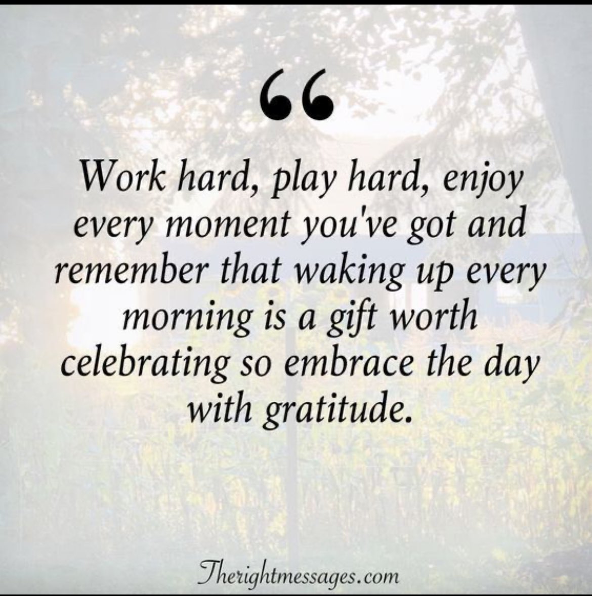 sricker93's tweet photo. Carpe Diem!   Means so much in just two words.  Every day of life is a gift. https://t.co/BCcnXRCwfT